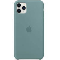 Apple Silicon Case iPhone 11 Pro Cactus (HC)
