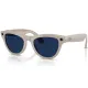 Ray-Ban Meta Skyler Standard - Shiny Chalky Gray / Clear Sapphire Transition (RW4010 6700MF 52-20)