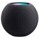 Колонка Apple HomePod Mini Space Gray (MY5G2)