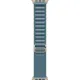 Apple Alpine Loop Band Medium для Watch 49mm - Natural Titanium Finish - Blue (MFTJ4)