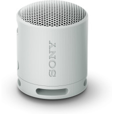 Sony SRS-XB100 Grey (SRSXB100H.CE7)