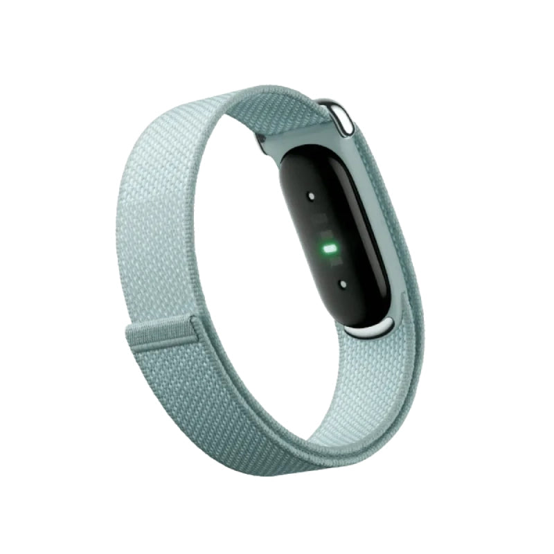 Google Fitbit Air Fog
