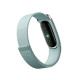 Google Fitbit Air Fog
