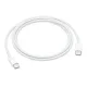 Apple USB-C Charge Cable 1m (MUF72) (EU)