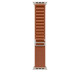 Apple Alpine Loop Band Large для Watch 49mm - Natural Titanium Finish - Terra Cotta (MFTD4)