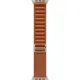 Apple Alpine Loop Band Medium для Watch 49mm - Natural Titanium Finish - Terra Cotta (MFTC4)