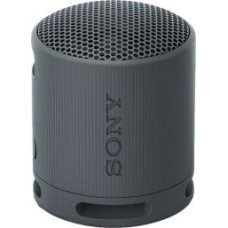 Sony SRS-XB100 Black (SRSXB100B)
