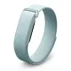 Google Fitbit Air Fog