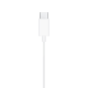 Наушники Apple EarPods USB-C (MTJY3) Original