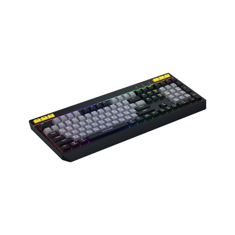 Клавиатура Hator Icefall Black (HTK401UA)