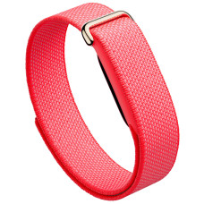 Google Fitbit Air Berry